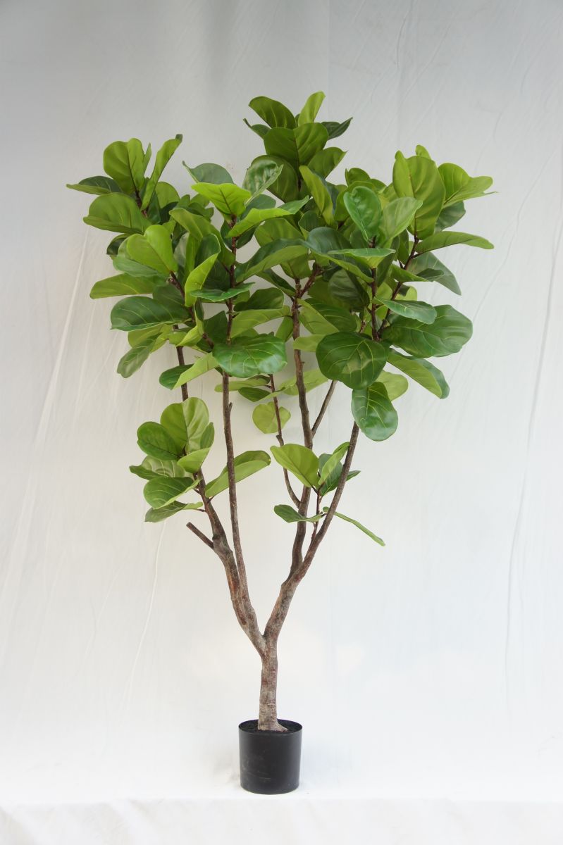 Faux Large Ficus Lyrata Tree, 210CM - Sharetrade