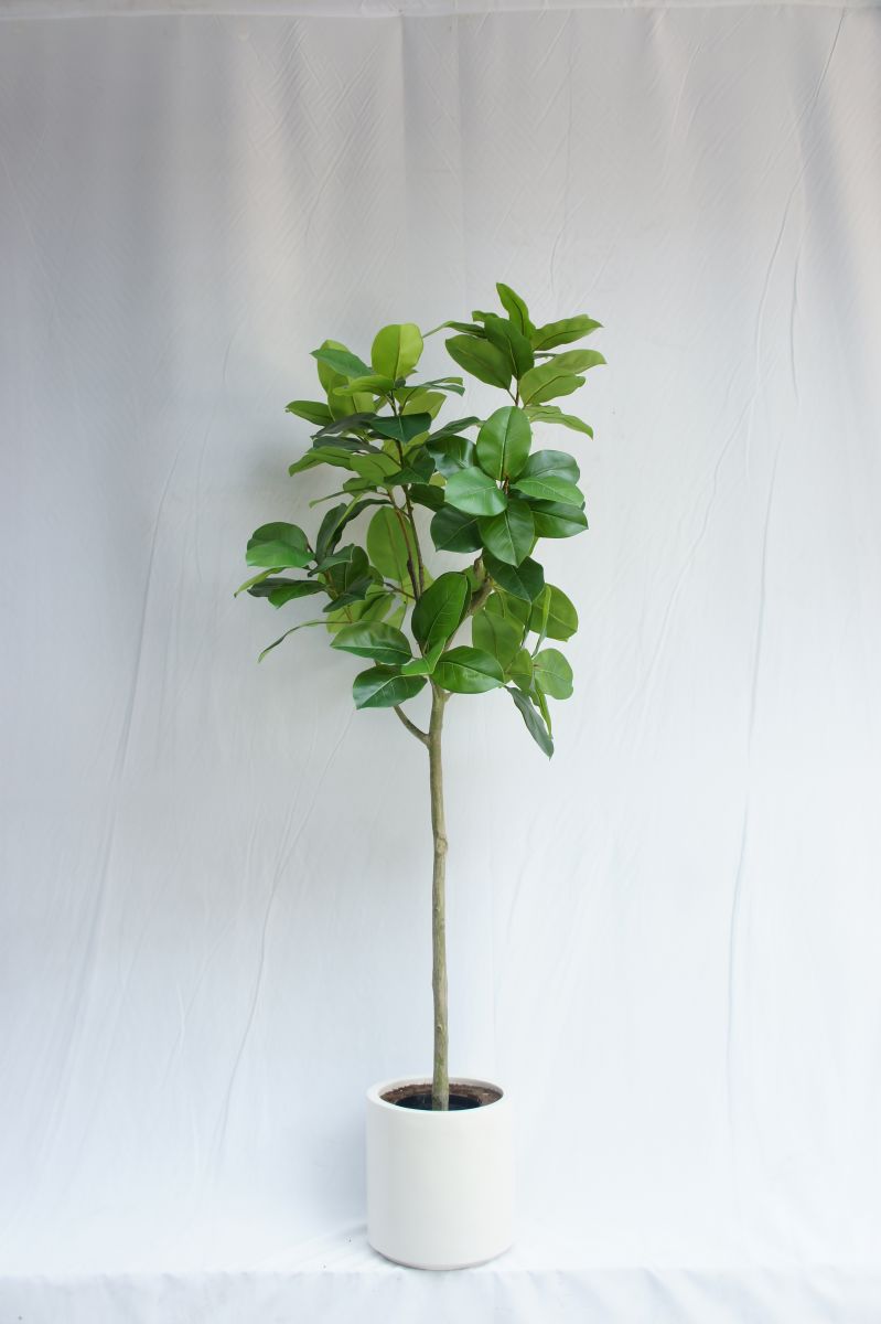 Artificial Ficus Altissima, 210 CM