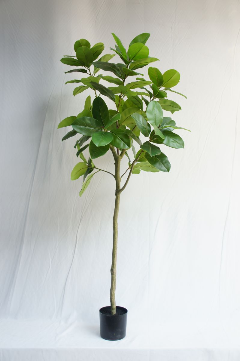 Artificial Ficus Altissima, 210 CM