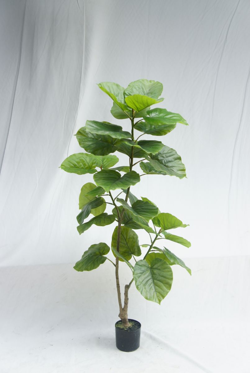 Artificial Plastic Ficus Rumphii, 150 CM