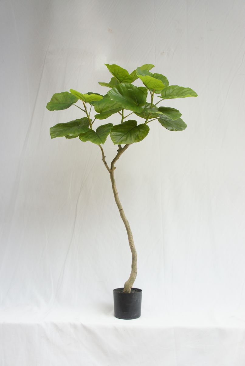 Artificial New Designed Ficus Rumphii, 150 CM
