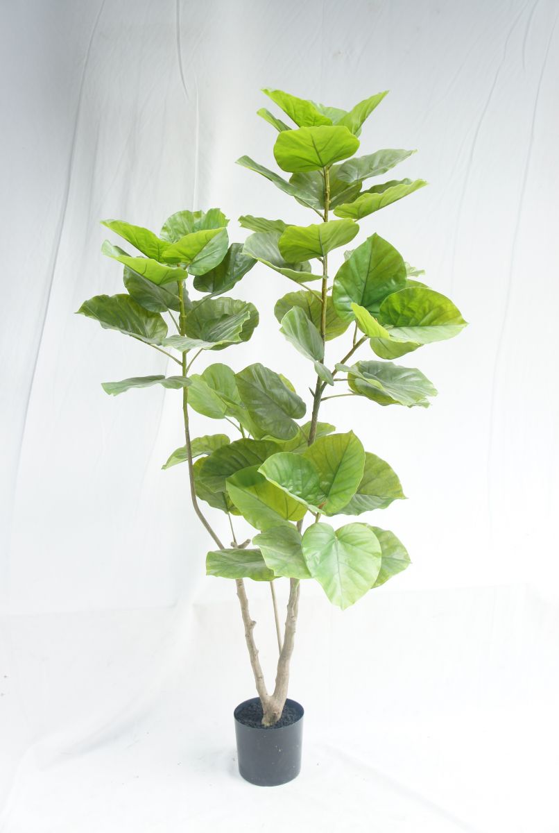 Artificial Best Selling Ficus Rumphii, 180 CM