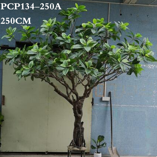 Artificial Ficus Microcarpa