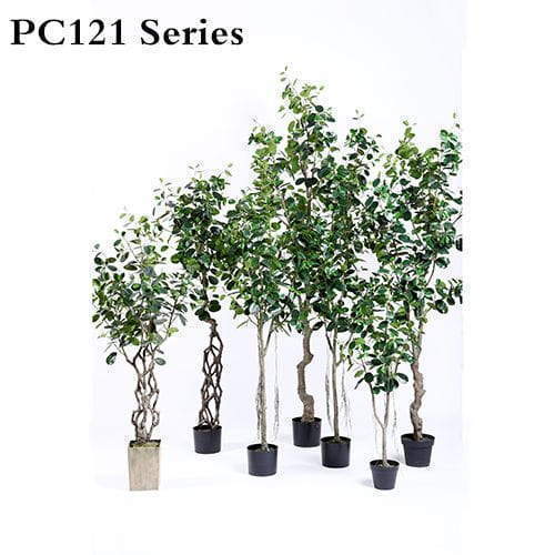 Plastic Ficus Microcarpa Tree