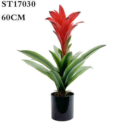 Artificial Guzmania Calypso Red Plant, 60CM