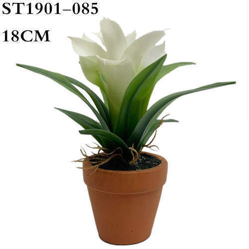 Artificial Guzmania Deseo, White, 17CM, 18CM