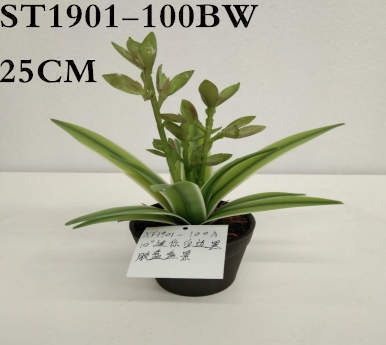 Artificial White Border Agave Americana Plant, 18CM, 25CM, 26CM