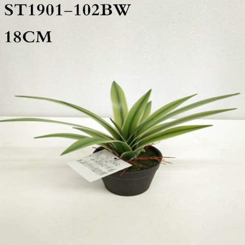 Artificial White Border Agave Americana Plant, 18CM, 25CM, 26CM