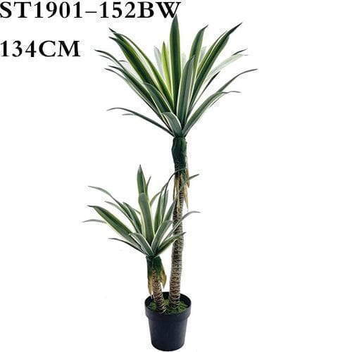 Artificial Sentry Plant, White Border, 134CM