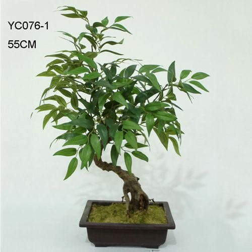 Artificial Acacia Bonsai 55 CM