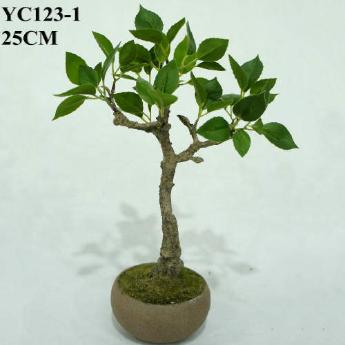 Artificial Cedrela Bonsai, 25 CM