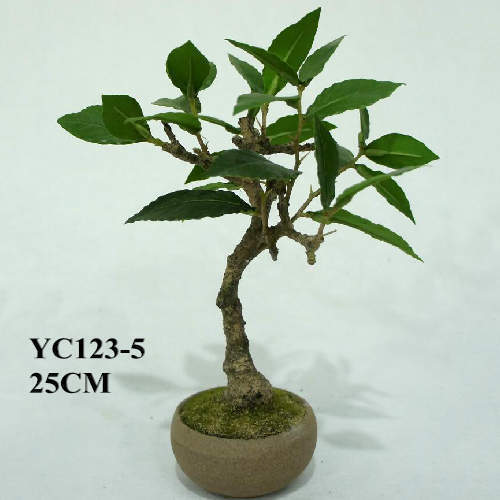 Artificial Laurel Bonsai, 25 CM