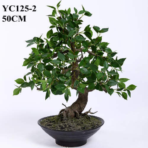 Artificial Cedrela Bonsai, 50 CM
