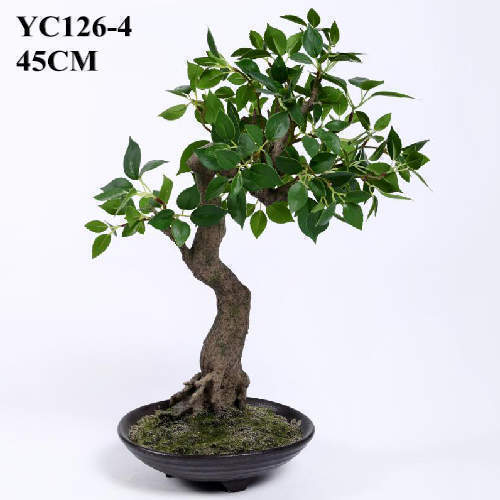 Artificial Small Plant Cedrela Bonsai, 45 CM