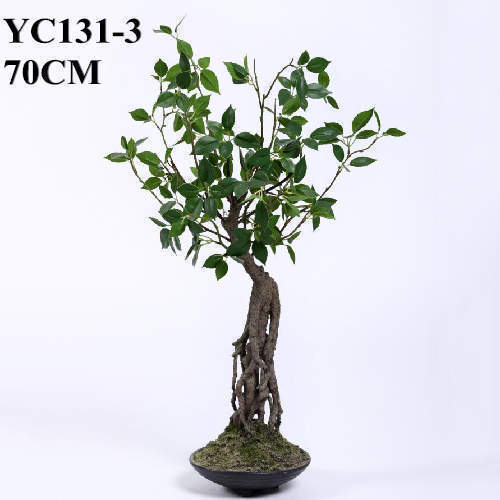 Artificial Cedrela Bonsai Plant, 70 CM