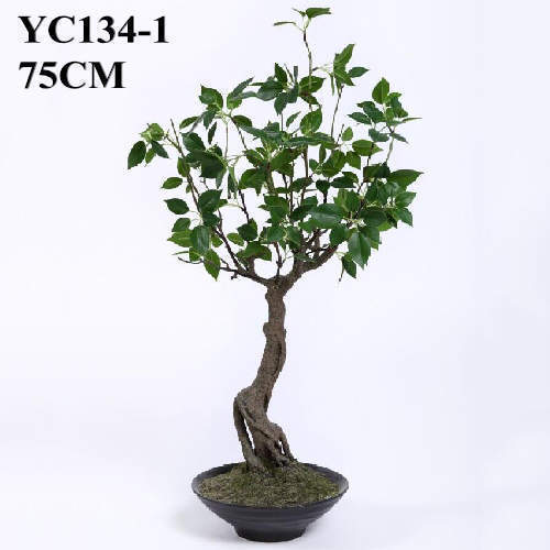 Artificial Mini Cedrela Bonsai, 75 CM