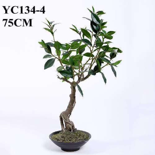 Artificial Small Table Top Plant Laurel Bonsai, 75 CM
