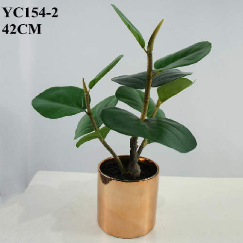 Artificial Mini Polyscias Balfouriana Bailey, 42 CM
