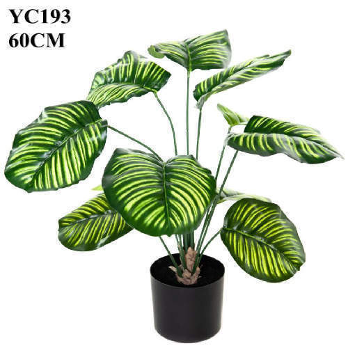 Artificial Green Calathea Orbifolia, 60 CM