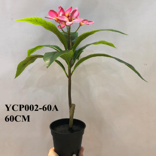 Faux Red Mini Frangipani Bonsai, 60 CM