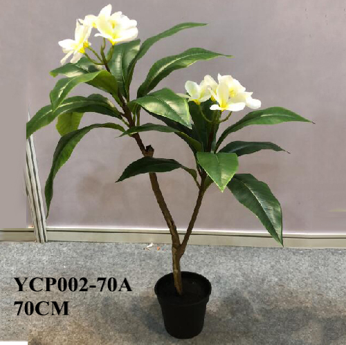 Faux New Frangipani Bonsai, 70 CM
