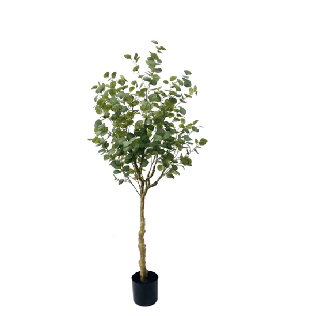 506-Leaf Eucalyptus Tree, 190cm