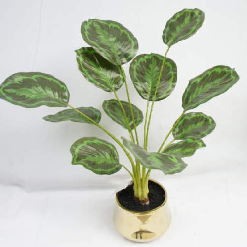 Artificial 12 Leaves Maranta Arundinacea, 58 CM