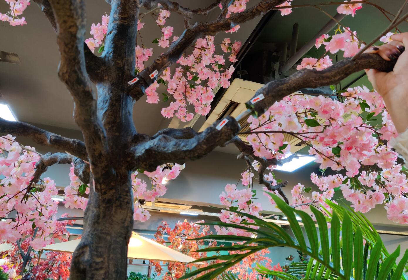 Photograph of Artificial Plants & Trees & Bonsai & Flowers -  up-close-shot (01)