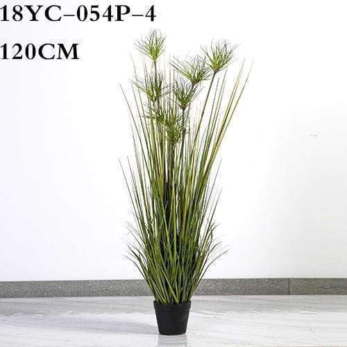 Artificial Amorseco, Lesser Spear Grass, Mackie's Pest