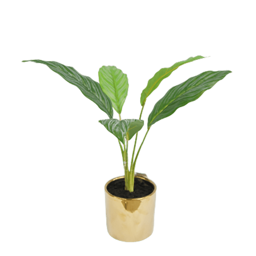 Artificial Best Selling Tabletop Plant, 42 CM