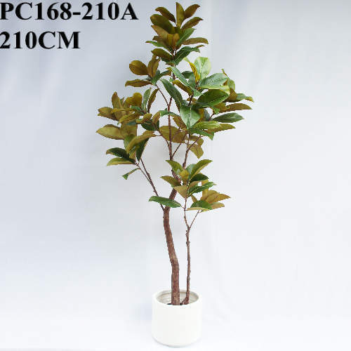 Artificial Big Plant Potted Magnolia Tree, 210 CM