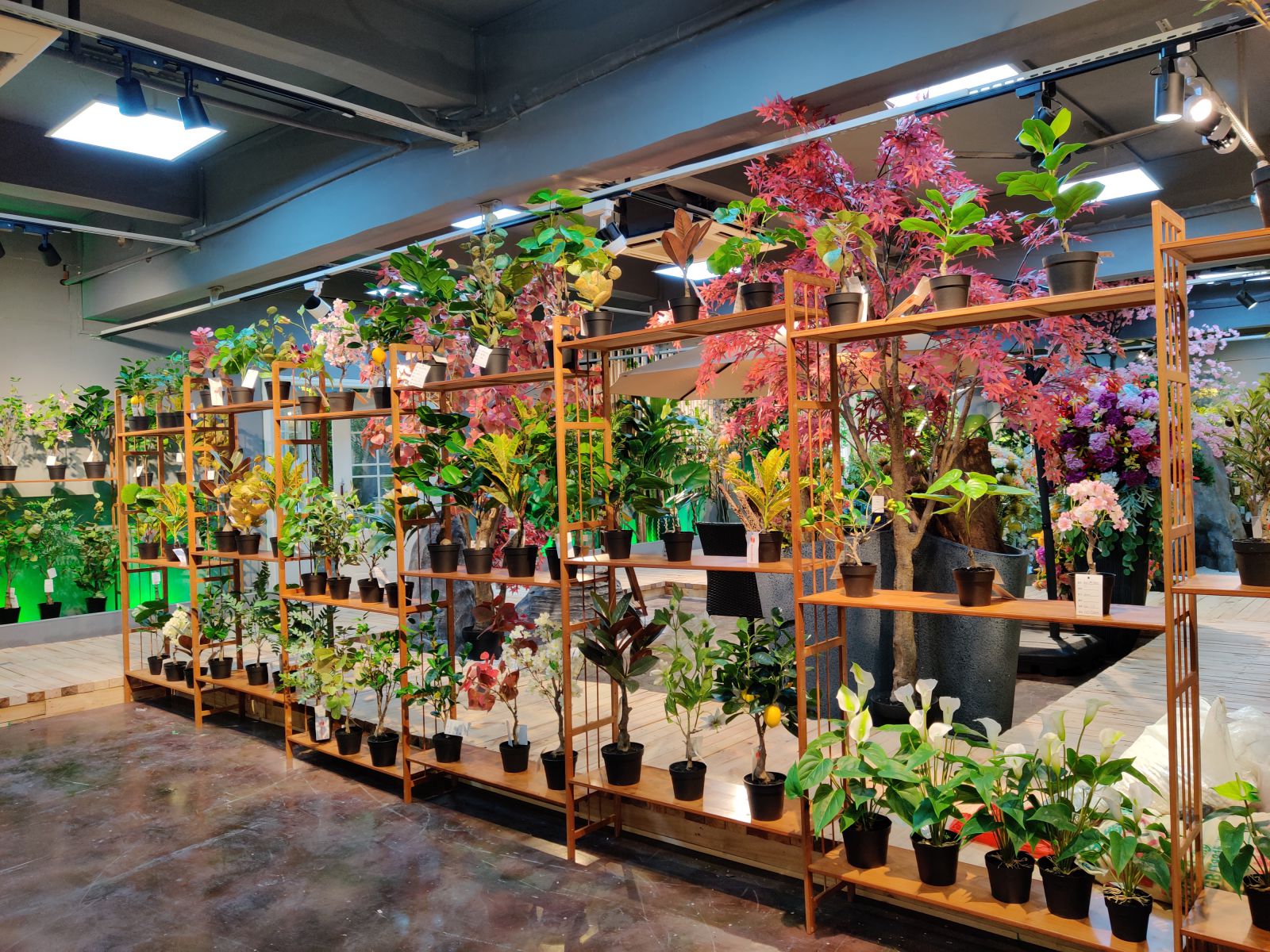 Photograph of Artificial Plants & Trees & Bonsai & Flowers -  up-close-shot (03)