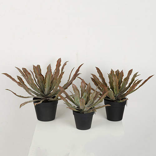 Artificial Cryptanthus Acaulis Bonsai, 24 CM, 29 CM, 38 CM