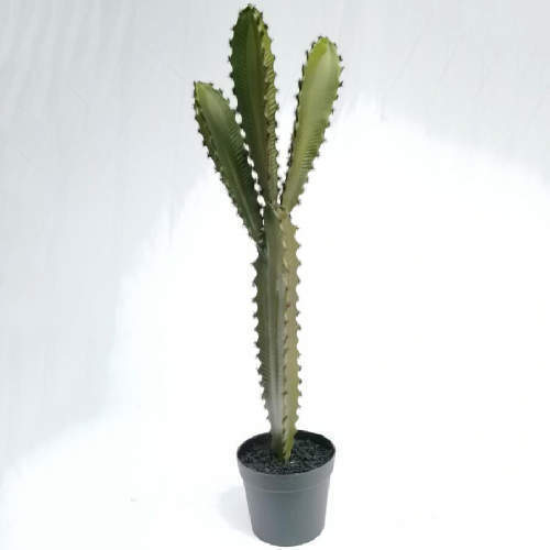 Artificial Desert Succulents