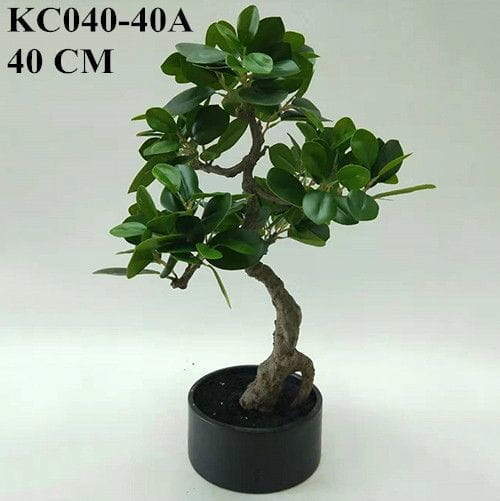 Vrouw Observeer Kreet Artificial Ficus Microcarpa Bonsai, 30 CM, 50 CM, 66 CM - Sharetrade