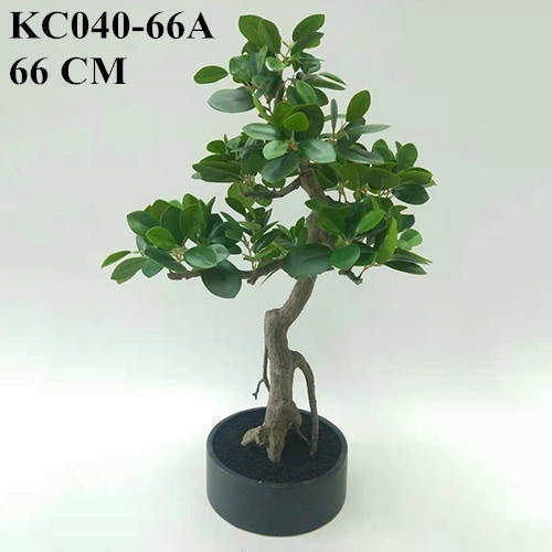 Artificial Ficus Microcarpa Bonsai, 30 CM, 50 CM, 66 CM
