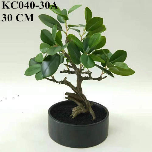 Vrouw Observeer Kreet Artificial Ficus Microcarpa Bonsai, 30 CM, 50 CM, 66 CM - Sharetrade