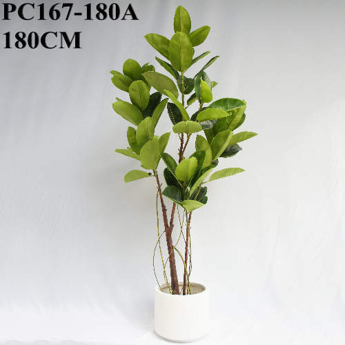 Artificial Green Tree 2 Boles 3 Twigs Rubber Plant, 180 CM