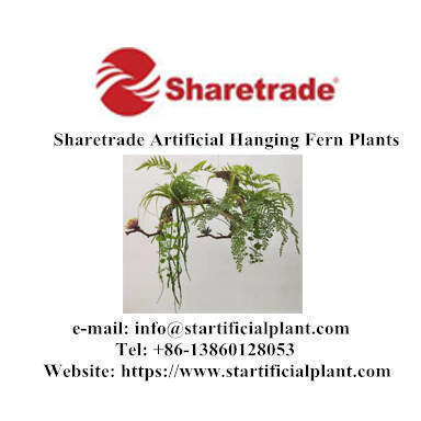 Artificial Hanging Fern Plants From Sharetrade - China Supplier
