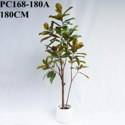 Artificial Magnolia Tree With Black Plastic Pot, 180 CM