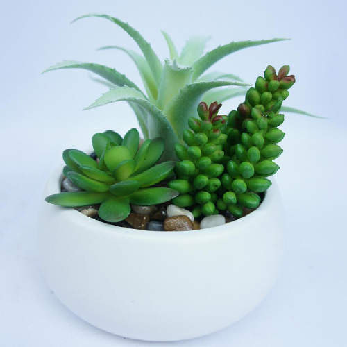 Artificial Mixed Succulent