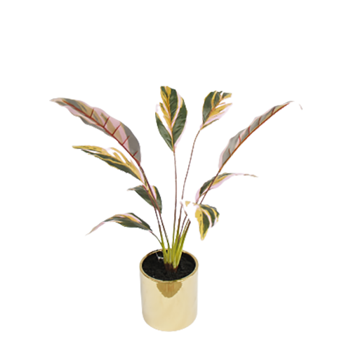 Artificial New Design Tabletop Plant, 57 CM