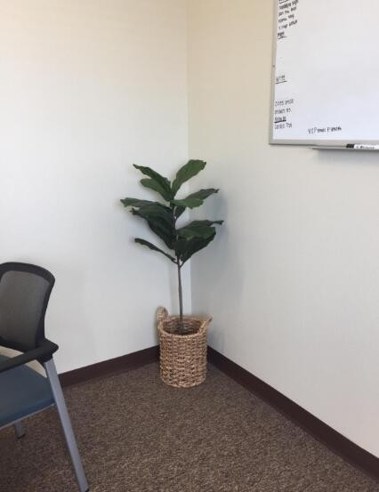Artificial Plants & Artificial Trees - Ficus lyrata