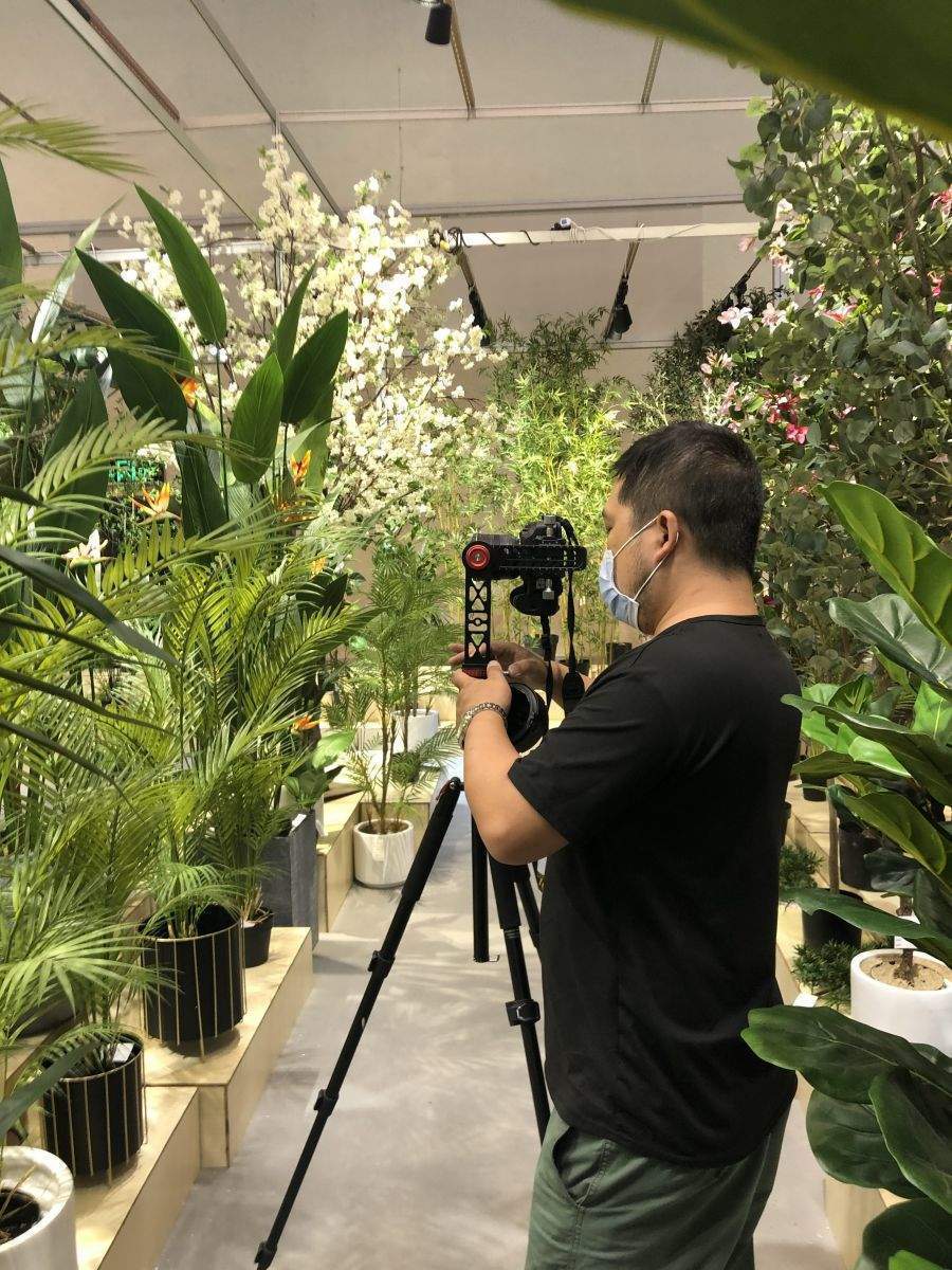 Artificial Plants' Benefits