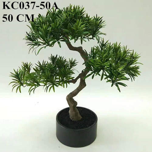 Artificial Podocarpus Macrophyllus Bonsai, 30CM, 50CM, 66CM
