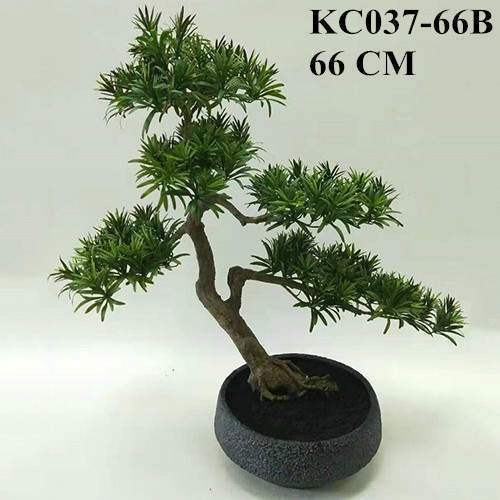 Artificial Podocarpus Macrophyllus Bonsai, 30CM, 50CM, 66CM