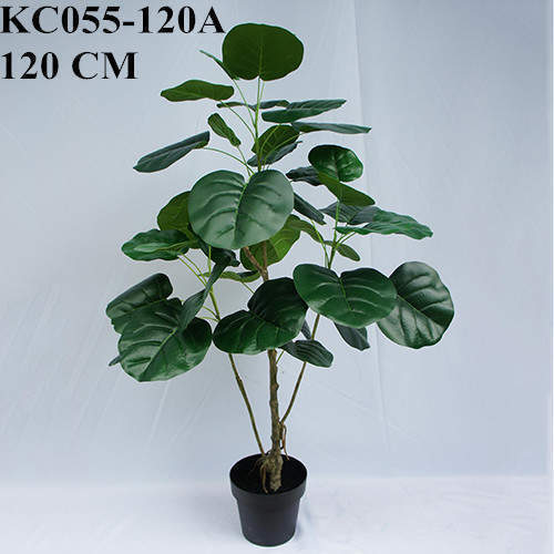 Artificial Polyscia Balfouriana Bonsai, 90 CM, 120 CM
