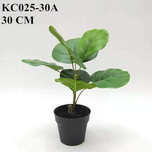 Artificial Polyscias Balfouriana Bailey, 30 CM, 40 CM, 50 CM
