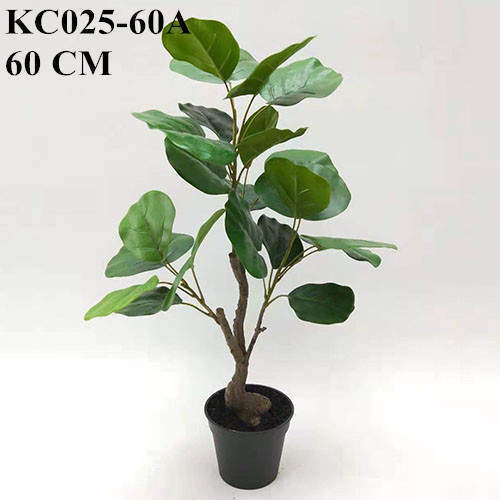 Artificial Polyscias Balfouriana Bailey Bonsai, 60 CM - 90 CM