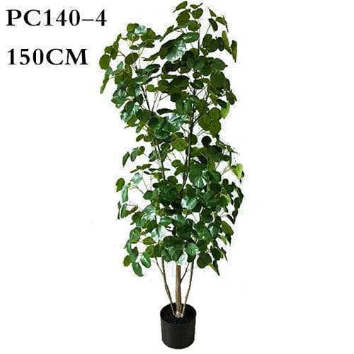 Artificial Polyscias Balfouriana Bailey, Dinner Plate Aralia, 240CM, 150CM